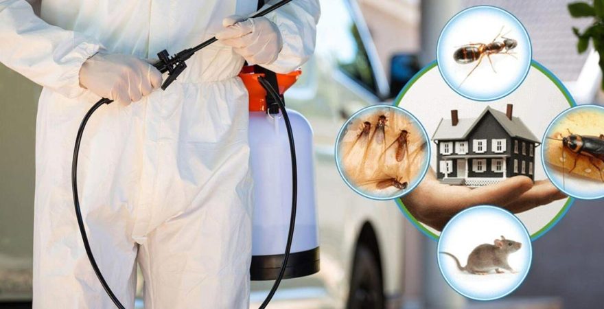 Beyağaç Böcek İlaçlama