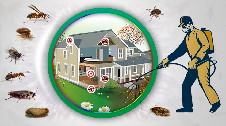 Beyağaç Böcek İlaçlama