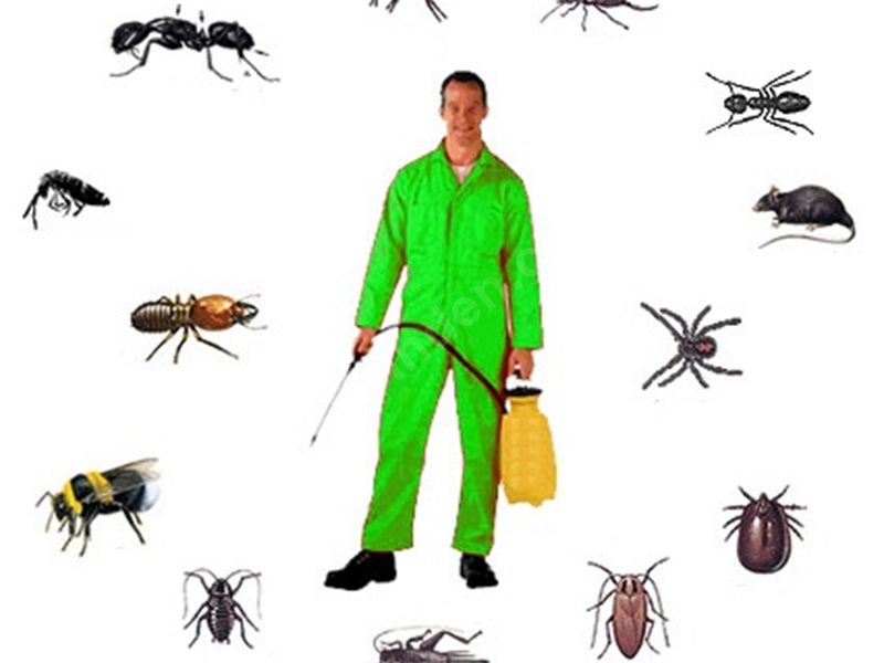 Beyağaç Böcek İlaçlama